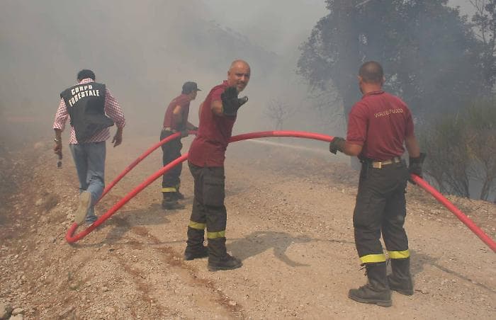 Emergenza incendi in Sicilia: un vigile del fuoco perde la vita, centinaia di interventi nell'isola