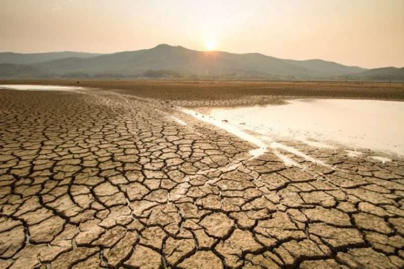 I cambiamenti climatici influiscono direttamente sulla diffusione di nuovi virus