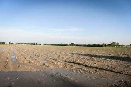 Ad un anno dall’ alluvione in Emilia Romagna solo lo 0,095% dei fondi è arrivata alle famiglie
