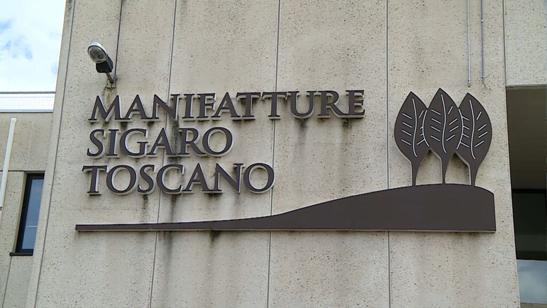 Manifatture Sigaro Toscano rafforza la filiera del Kentucky: crescono investimenti, export e produzione