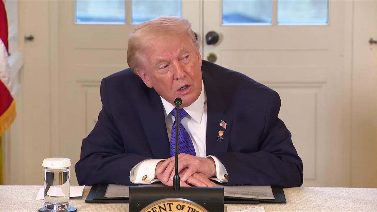Trumo a WSJ, l'Ice potrebbe lasciare Minneapolis