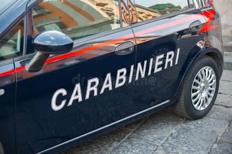 'Ndrangheta: 44 arrestati dopo inchiesta Carabinieri di Catanzaro