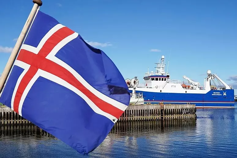 Islanda resta fuori dall'Unione Europea: il  'No' vince con il 52,8%