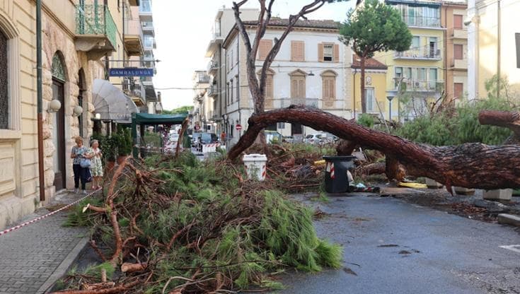 Maltempo, una vittima in Friuli e danni al Centro-Nord: allerta arancione in quattro regioni