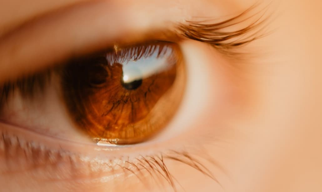 L'optogenetica ottiene importanti risultati su una malattia della retina 
