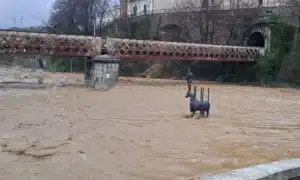 MALTEMPO