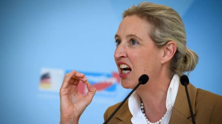 Alice Weidel, dalla finanza alla guida di AfD: il volto del partito che punta al governo in Germania