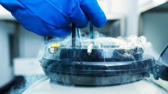 Social freezing, Forza Italia apre al contributo pubblico per il congelamento degli ovociti