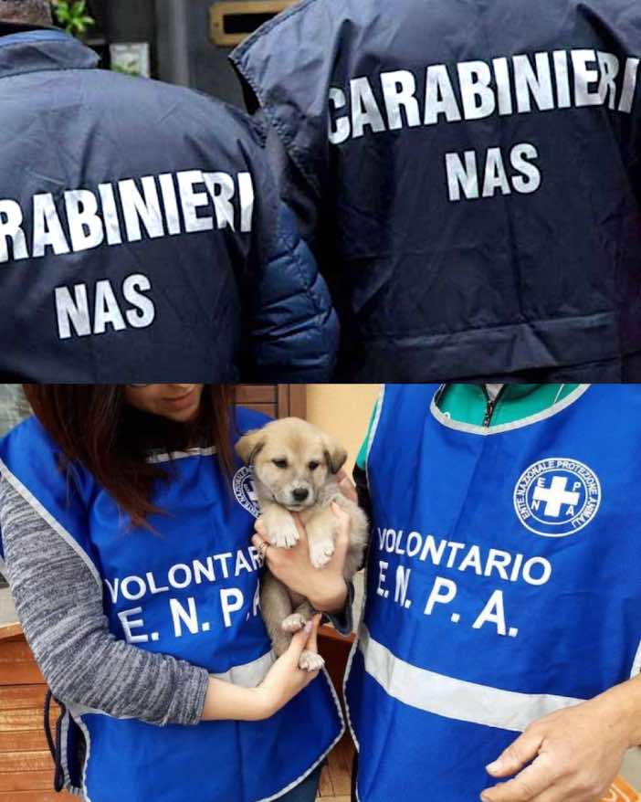 Firmato il Protocollo di intesa tra Enpa (Ente Nazionale Protezione Animali) e il Comando Carabinieri per la Tutela della Salute.