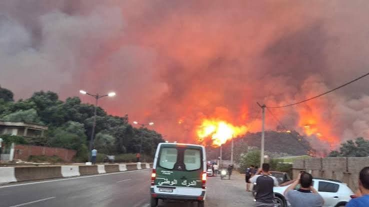 Algeria, devastanti incendi boschivi: almeno 69 morti e decine di feriti