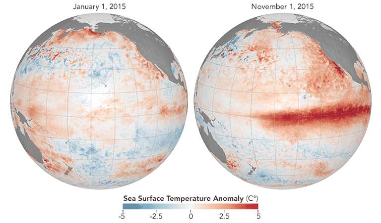 El Niño 2026 accelera nel Pacifico: cresce la probabilità di un evento di intensità storica