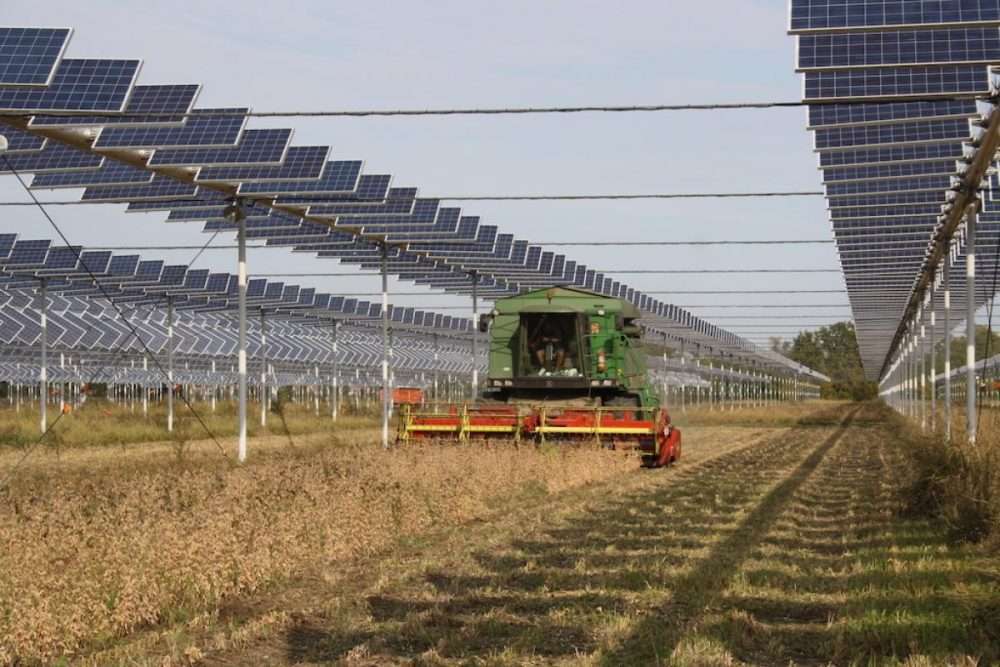 Rinnovabili, da Catania arriva una certezza: l’agrovoltaico è la chiave per rispettare gli obiettivi 2030